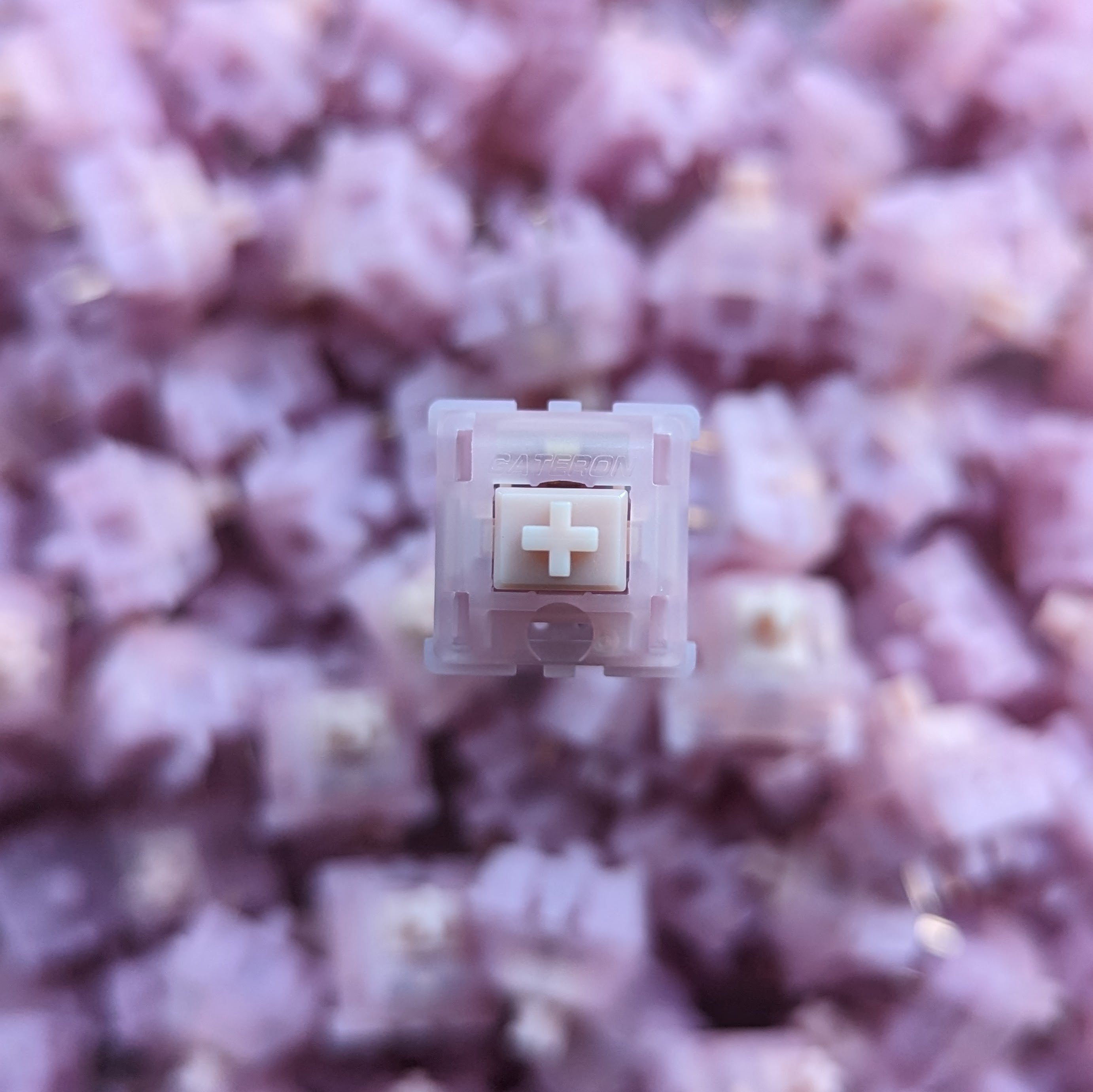 Gateron X SW Pureberry Linear Switch – Kiwi Clack